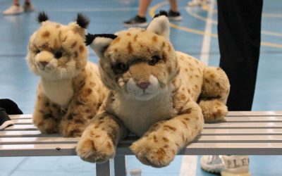 DEBUT HISTÓRICO DEL EQUIPO JUVENIL FEDERADO FEMENINO DE LOS LINCES